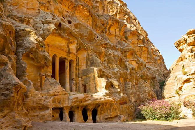 Full Day Petra and Wadi Rum Tour from Amman - Returning to Amman or Queen Alia Airport