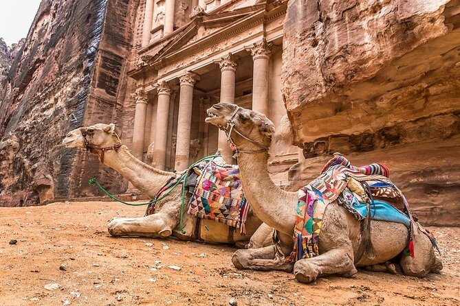 Full Day Petra and Wadi Rum Tour from Amman - Who will get the most from this tour