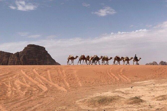 Full-Day Private Tour in Petra with Hotel Pick-Up - What the two-hour guide adds