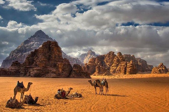 Full-Day Private Trip To Petra, Wadi Rum - The drivers are a major part of the experience