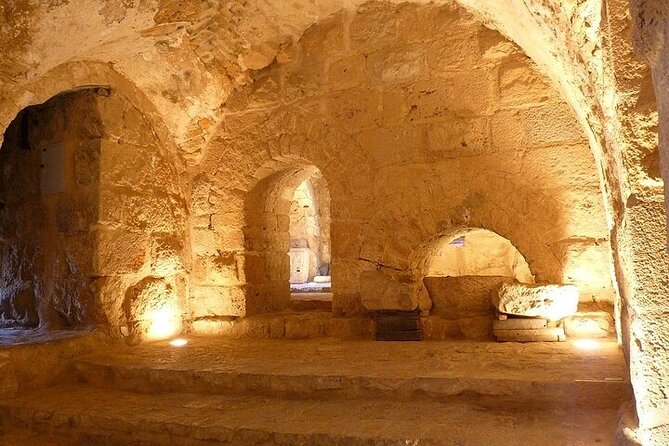 Full day Tour Jerash، Ajloun and Um Qais from Amman - Who should book this northern Jordan day trip