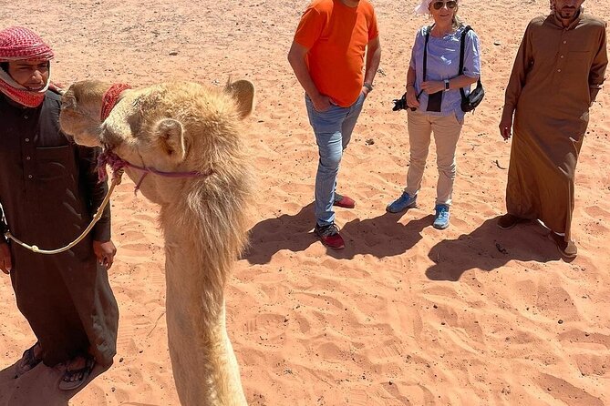 Full Day Tour Petra and Wadi Rum from Amman - Two hours by 4x4 in Wadi Rum