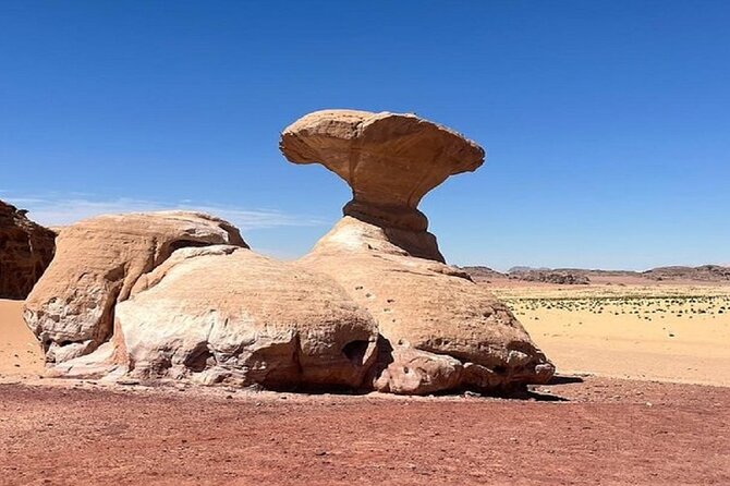 Full Day Tour Petra and Wadi Rum from Amman - The three-hour drive from Amman