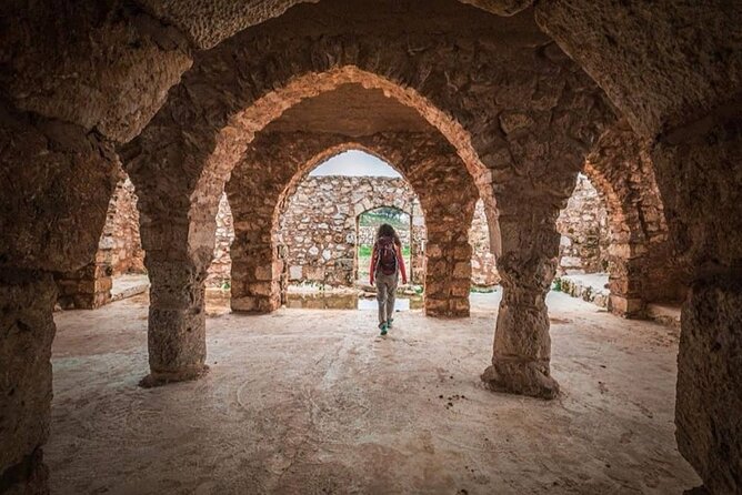 Full Day Umm Qais, Ajloun & Jerash - Price, Tickets, and the Jordan Pass