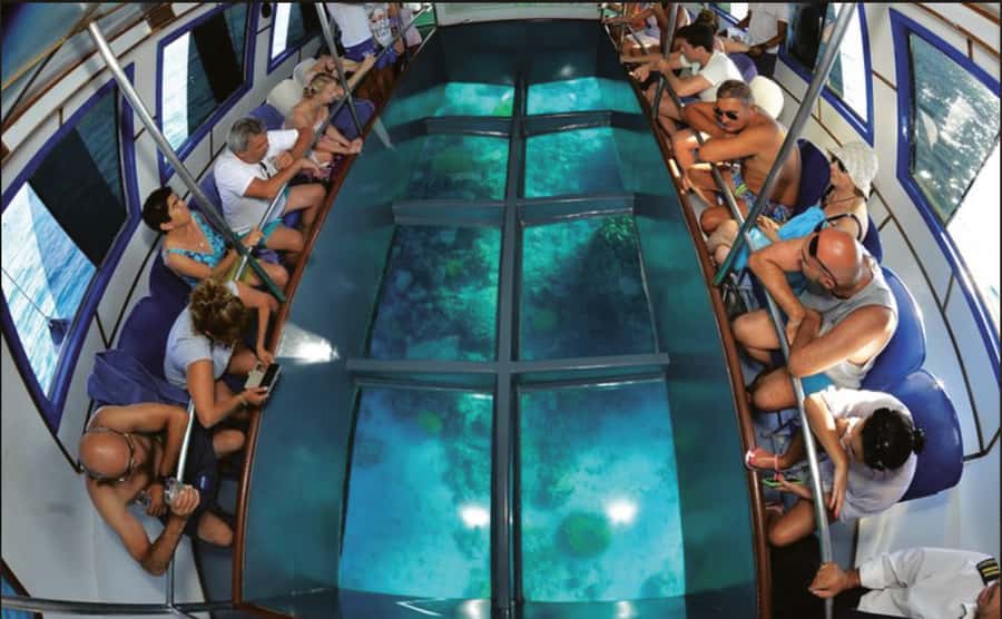 Glass Boat & Snorkeling with day use of Berenice Beach Club - Key points to know before booking