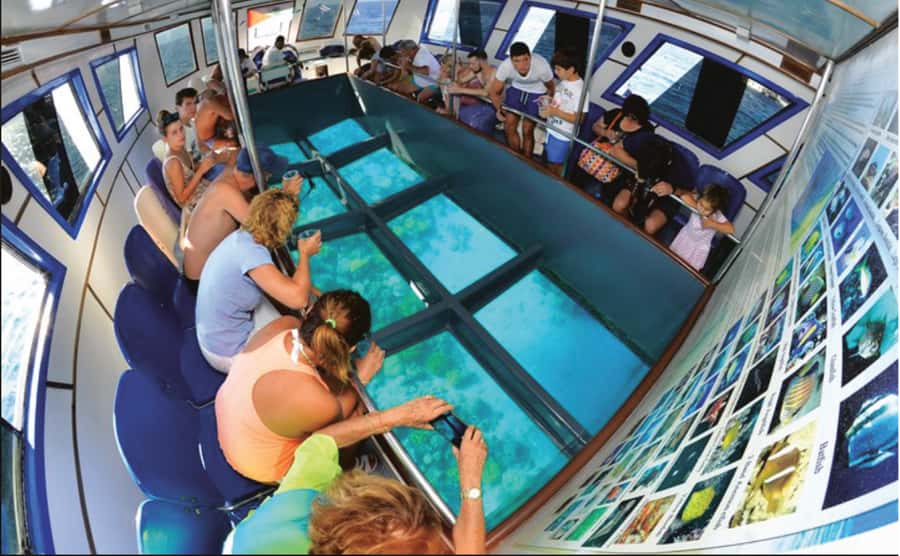 Glass Boat & Snorkeling with day use of Berenice Beach Club - One hour above Aqaba’s reefs and wrecks