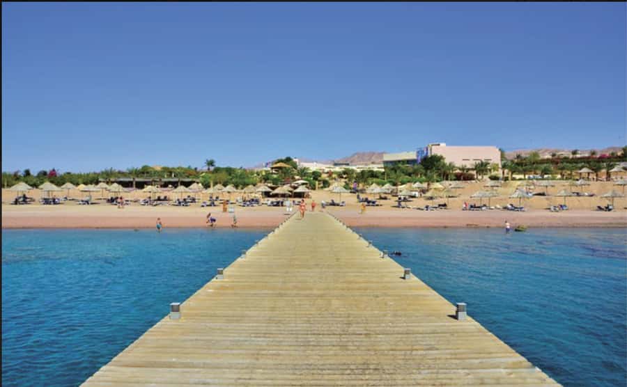 Glass Boat & Snorkeling with day use of Berenice Beach Club - From Berenice Beach Club to the Red Sea