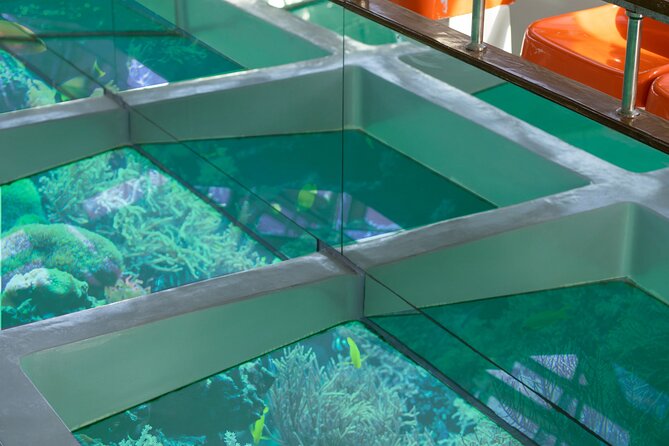 Glass-Bottom Boat 2-hours Tour and Coral-Reef Viewing from Aqaba - Timing problems to take seriously