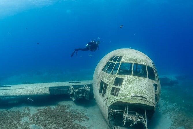 Guided Scuba Diving Adventure in Aqaba - Why Aqaba is a strong place to try scuba
