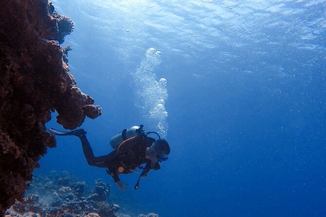 Guided Scuba Diving Adventure in Aqaba - The onshore lesson for beginners