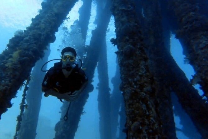 Guided Scuba Diving Adventure in Aqaba - What the 2.5-hour schedule really means