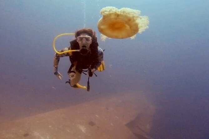 Guided Scuba Diving Adventure in Aqaba - Meeting the team in Aqaba