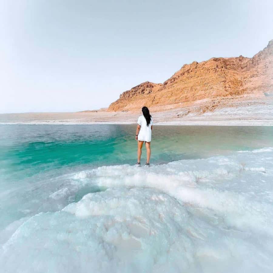 Half Day Tour Dead Sea , Pink Lake, Crystal beach From Amman - Is $55 a fair price?