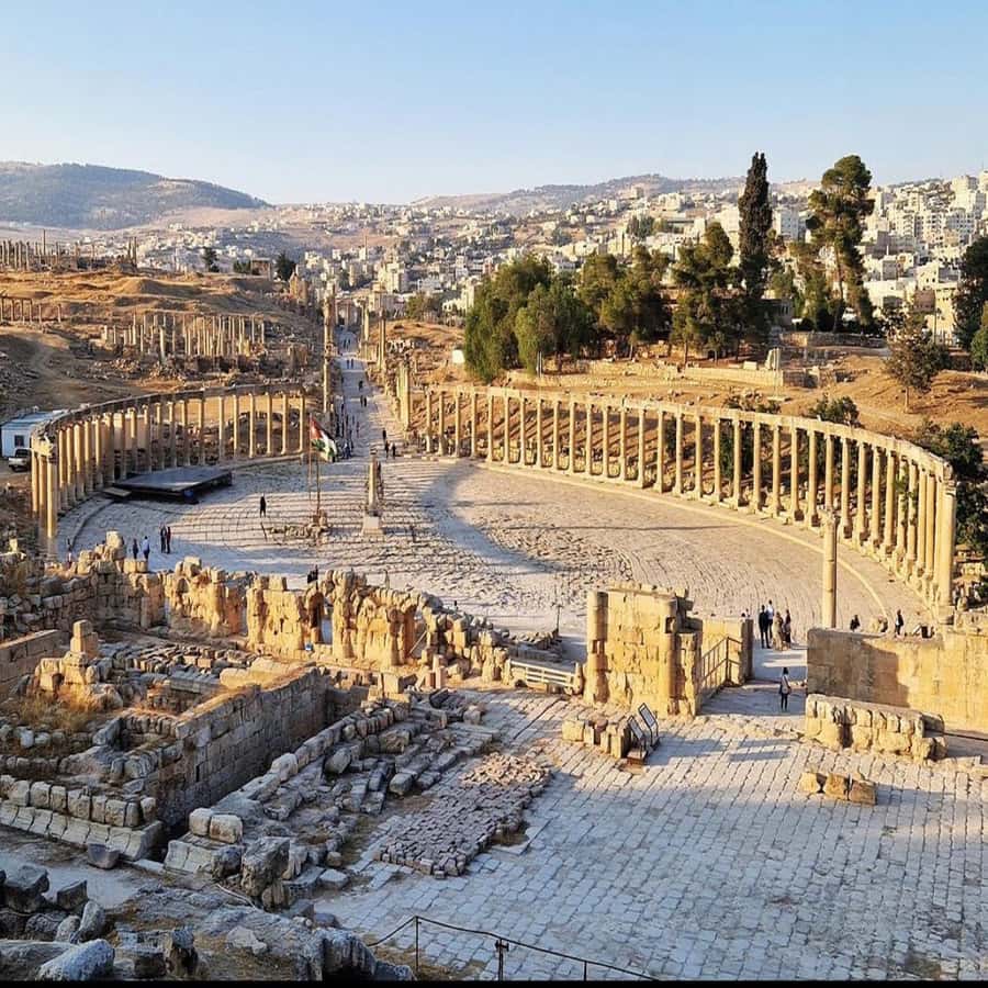 Half Day Tour To Jerash From Amman. - Who should choose this Jerash trip?