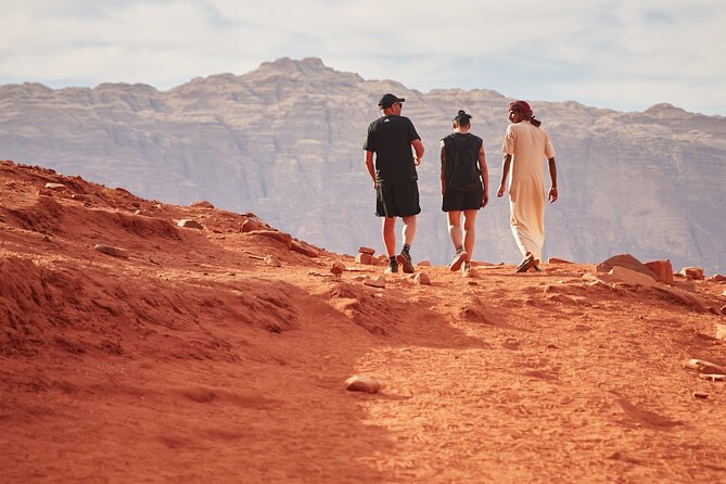 Jeep Tour in Wadi Rum with Professional Guide (Full day) - Bedouin tea and a picnic lunch