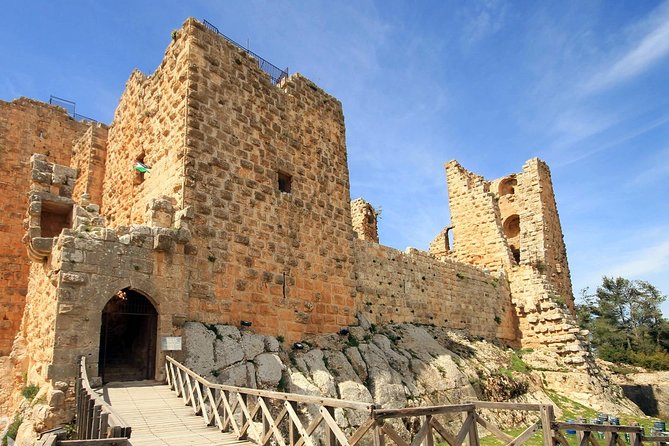 Jerash, Ajloun, and Umm Quais Full-Day Tour - What the private format really gives you