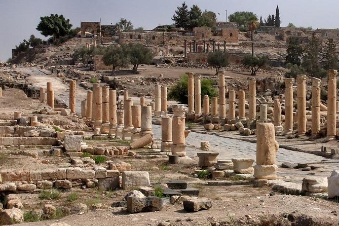 Jerash, Ajloun, and Umm Quais Full-Day Tour - Who will get the most from this tour