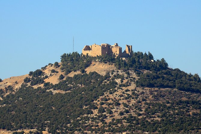 Jerash, Ajloun, Umm Qais Day Trip - Your driver shapes the day