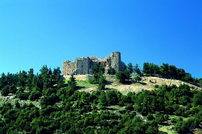 Jerash and Ajloun Castle Full day Tour - The $95 price and the extra $25