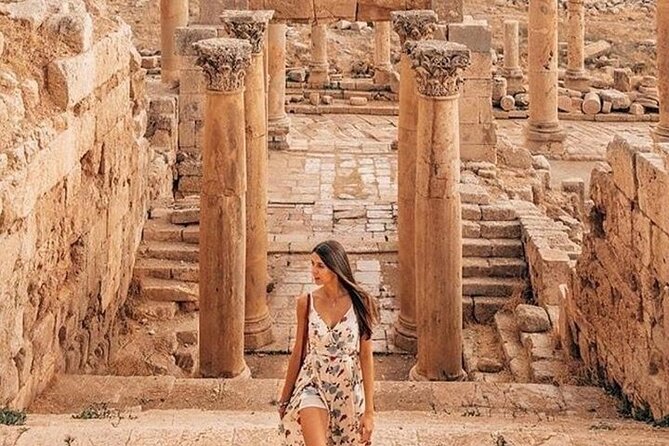 Jerash and Ajloun Castle Full-Day Tour from Amman or Airport - The driver is your main human guide