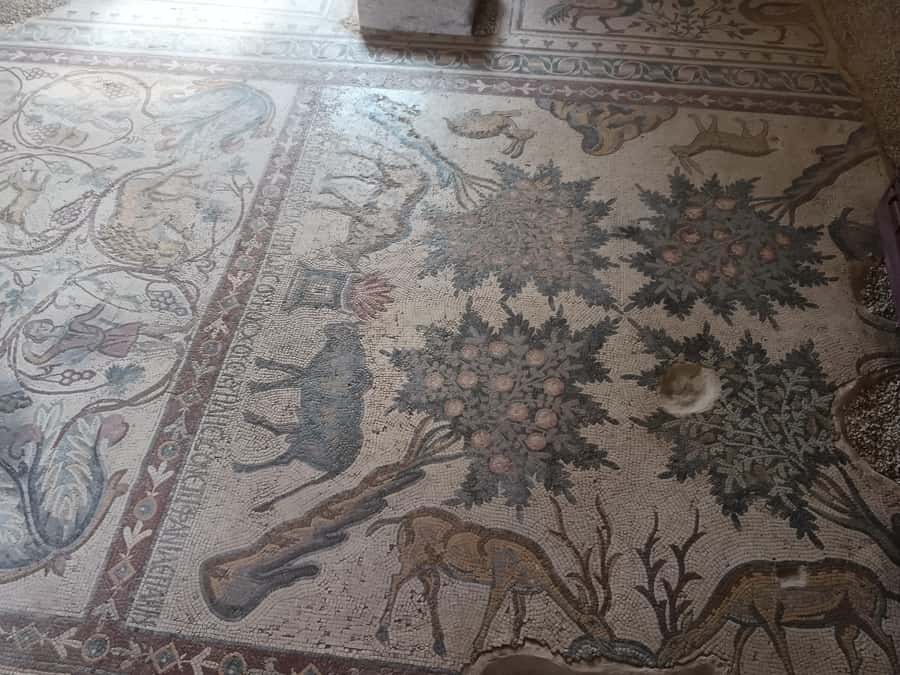 Jordan Mosaic Wonders: Umm ar-Rasas, Madaba & Mount Nebo - Khirbet Lumakheet for a quieter archaeological stop