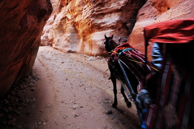 Jordan Private Driver Services | The Jordanian Mappers - The Dead Sea, Madaba, and the sites west of Amman