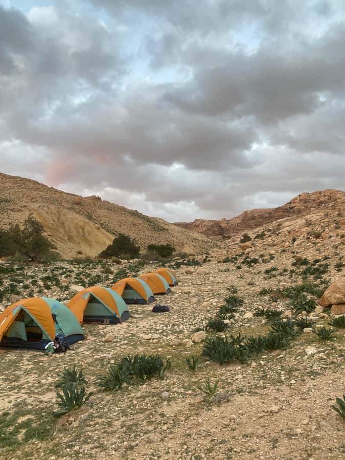 Jordan Trail: Dana to Petra 4-Day Trekking Tour - Arriving through Little Petra and Petra