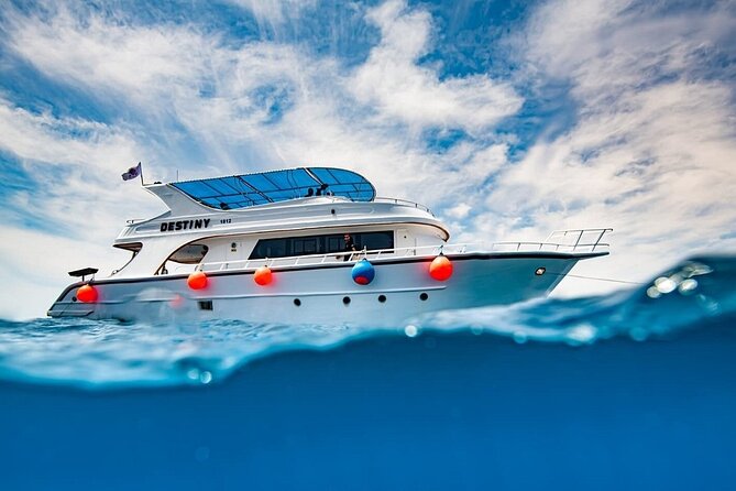 Journey of Diving or Snorkelling from a Boat - Aqaba’s Red Sea From a 22-Meter Boat