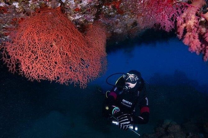 Journey of Diving or Snorkelling from a Boat - Meeting at Ayla Marina