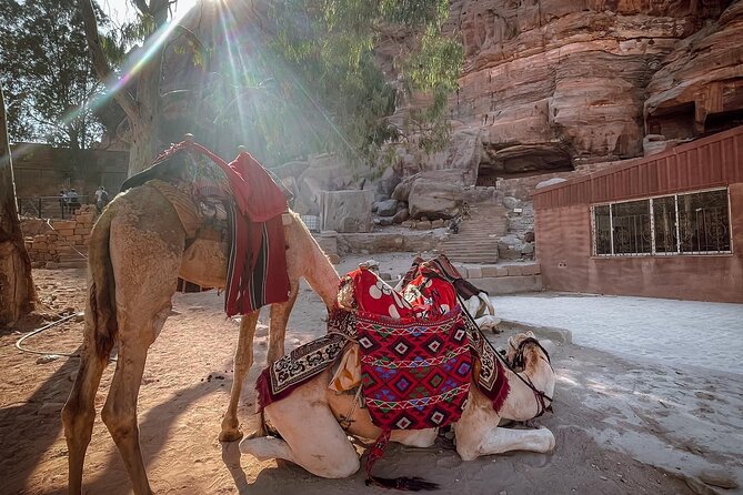 Nabatean Nights Stay in Petra Jordan - Bedouin Village with Tour - Sunrise over Petra is the real morning reward