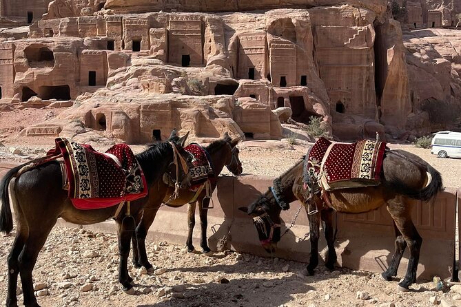 Nabatean Nights Stay in Petra Jordan - Bedouin Village with Tour - Meeting at the Treasury and finding your guide