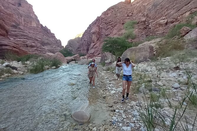 One Day Hiking Wadi Al Hasa Canyon - Returning Along the Riverside