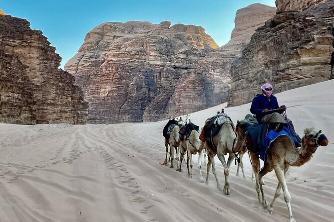 One Day Petra & Wadi Rum from Aqaba - Lunch near Petra, with a practical caveat