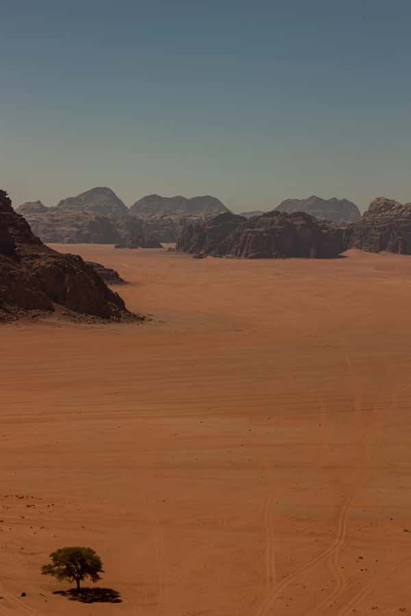 One Day Tour from Aqaba - Petra and Wadi Rum - Aqaba - Who will enjoy this Aqaba day trip?