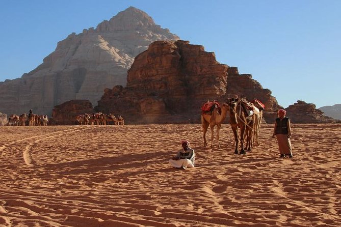 One Day Tour to Wadi Rum From Amman - Bedouin tea, lunch, and the human side of Wadi Rum