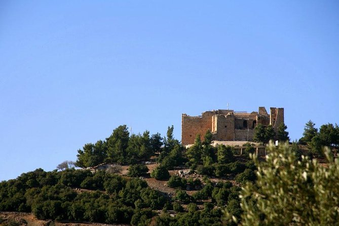 One Day Trip to Jerash & Ajloun Castle - Booking, cancellation, and final advice