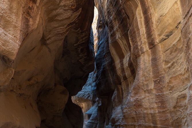 Petra 1 Day Tour from Aqaba - The Treasury and Petra’s headline sights