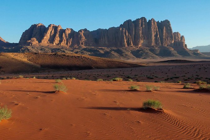 Petra and Wadi Rum Day Trip from Amman - Is $374.36 a Fair Price?