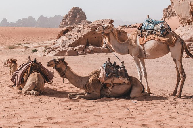 Petra and Wadi Rum in One Day | The Jordanian Mappers - What the long day asks of you