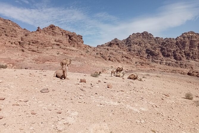 Petra Back-Road Trail and Hike - Key points to know before you book