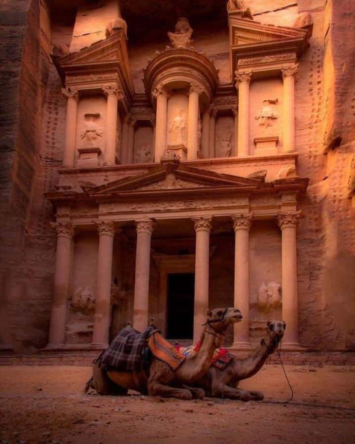 Petra & Dead Sea Private day tour - Who should book this day trip?