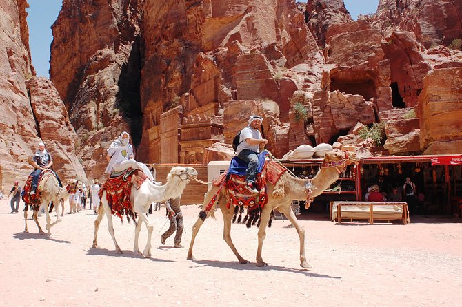 Petra Excursion from Dead Sea - What the $176 price really covers