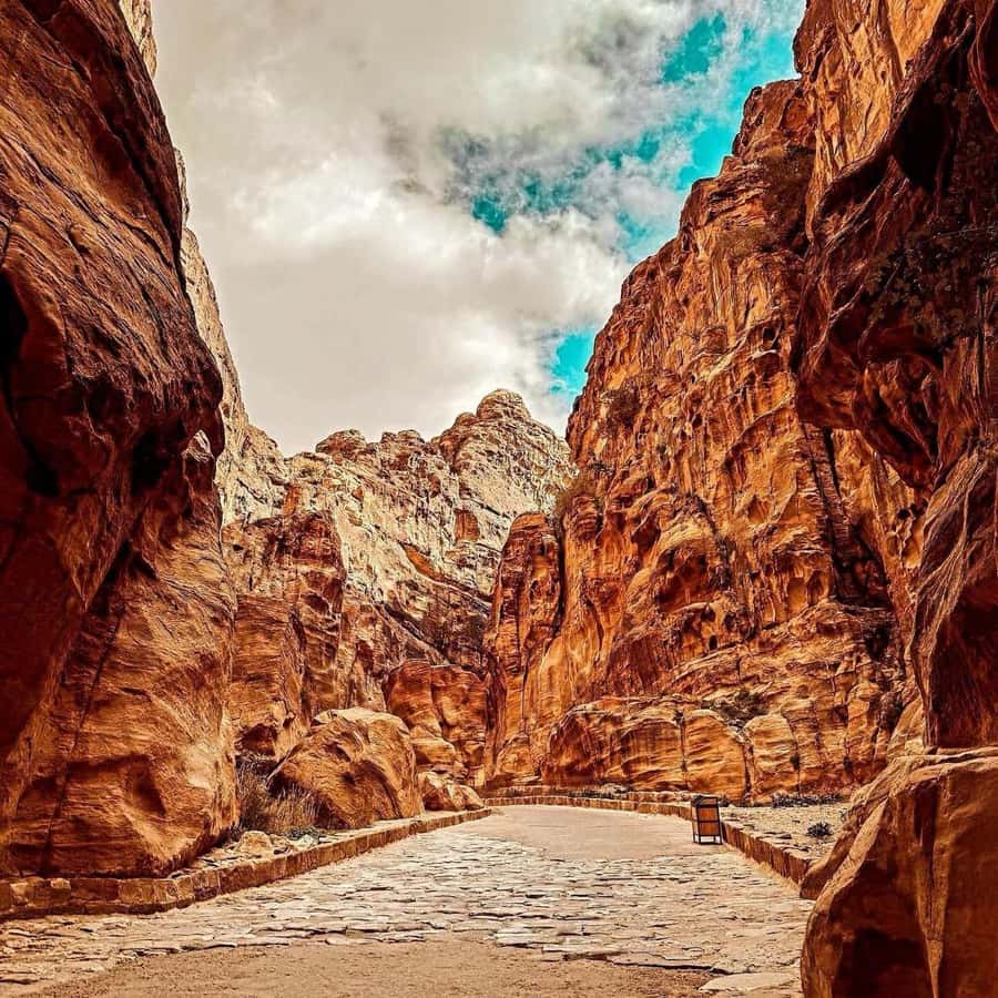 Petra Full-Day Private or Group Tour From Amman - Why this Amman to Petra day trip works