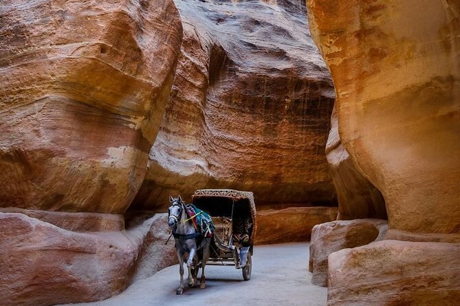 Petra Private Full-Day Tour - The Obelisk Tomb and the climb to sacrifice
