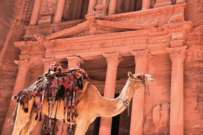 Petra Shore Excursion from Aqaba Port - Why Petra Makes This Aqaba Day Worth Considering