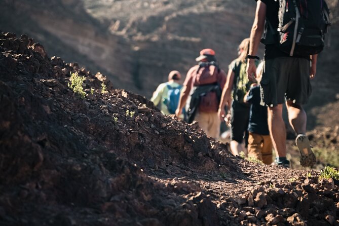 Petra to Wadi Rum Trek - 6 Days - Day four adds canyons, formations, and sand