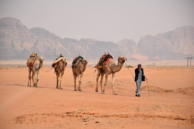 Petra & Wadi Rum Full-Day Tour from Amman or Airport - Entering Petra through the Siq