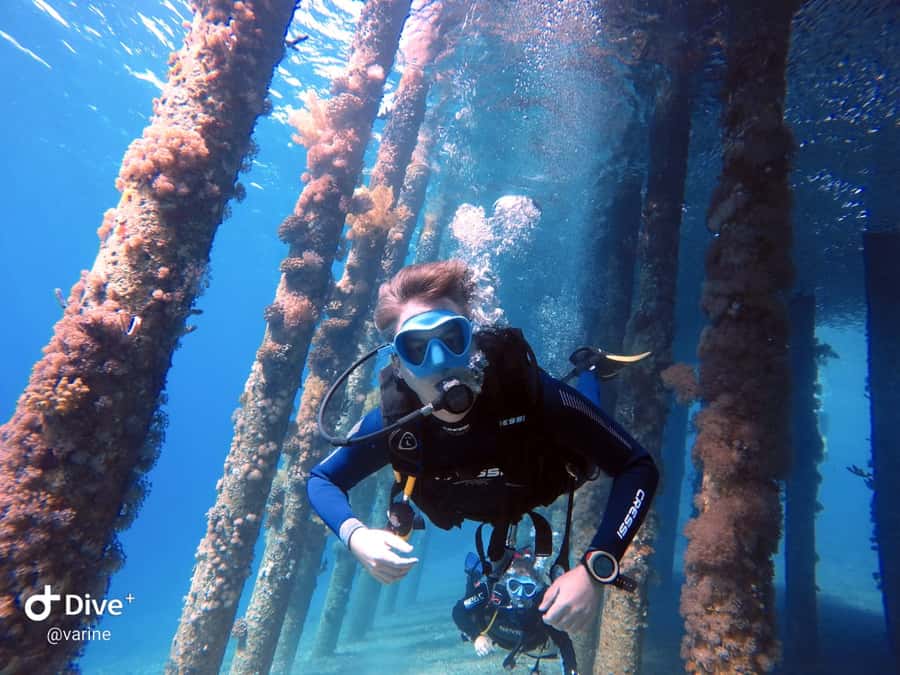 Pivate scuba diving in the Red Sea of Aqaba - Key points to know before you book
