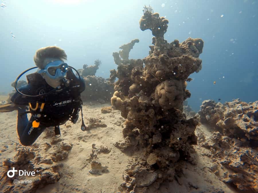 Pivate scuba diving in the Red Sea of Aqaba - A first look beneath Aqaba’s Red Sea