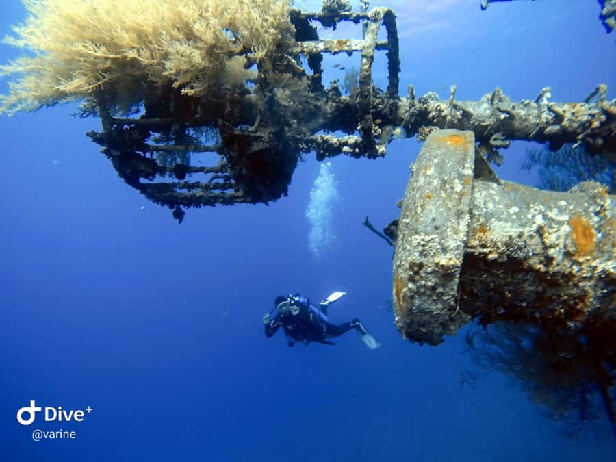 Pivate scuba diving in the Red Sea of Aqaba - Learning the basic skills in shallow water